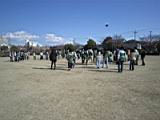 20110326_shinkan4_0103.jpg