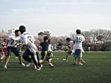 20110410_shinkan9_0156.jpg