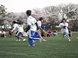 20110410_shinkan9_0161.jpg
