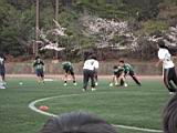 20110410_shinkan9_0166.jpg