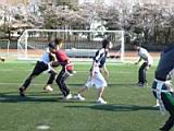 20120408_shinkan10_0338.jpg