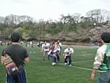 20120415_shinkan11_0343.jpg