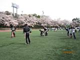 20140407_shinkan_8_0258.jpg