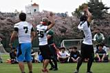 20170415_flagfootball_1_0324.jpg