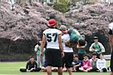 20170415_flagfootball_1_0329.jpg