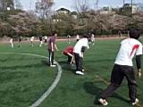 20100411_shinkan8014.jpg