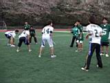 20100411_shinkan8028.jpg