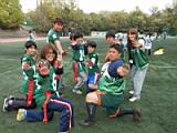 20140413_shinkan_9_0220.jpg